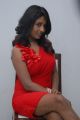 Telugu Actress Amitha Rao Hot Photos in Red Dress