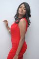 Actress Amitha Rao Hot Photos in Tight Red Dress