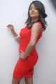 Telugu Actress Amitha Rao Hot Photos in Red Dress
