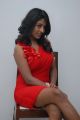 Telugu Actress Amitha Rao in Red Dress Hot Photos