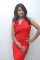 Actress Amitha Rao Hot Photos in Red Dress