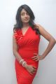 Telugu Actress Amitha Rao Hot Photos in Red Dress