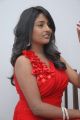 Chemistry Actress Amitha Rao Hot Photos in Red Dress