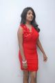 Actress Amitha Rao Hot Photos in Red Dress