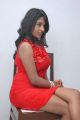 Actress Amitha Rao in Red Dress Hot Photos