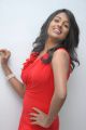 Actress Amitha Rao in Red Dress Hot Photos