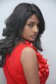 Telugu Actress Amitha Rao in Red Dress Hot Photos