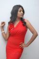 Telugu Actress Amitha Rao Hot Photos in Red Dress