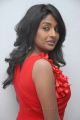 Actress Amitha Rao Hot Photos in Red Dress