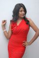 Chemistry Actress Amitha Rao Hot Photos in Red Dress