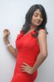 Chemistry Actress Amitha Rao Hot Photos in Red Dress