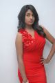 Telugu Actress Amitha Rao Hot Photos in Red Dress