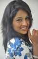 Telugu Actress Amitha Rao Photo Shoot Stills