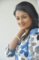 Telugu Actress Amitha Rao Photo Shoot Stills