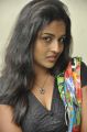 Actress Amitha Hot Stills at Chemistry Logo launch