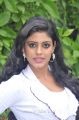 Actress Iniya at Ammavin Kaipesi Press Meet Stills