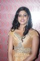 Actress Iniya at Ammavin Kaippesi Movie Audio Launch Photos