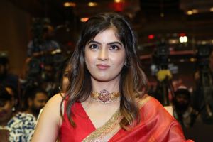 Amritha Aiyer Saree Images @ Bachhala Malli Pre-Release