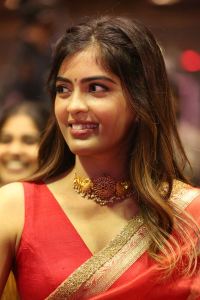 Amritha Aiyer Saree Images @ Bachhala Malli Pre-Release