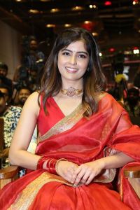 Bachhala Malli Movie Actress Amritha Aiyer Saree Images