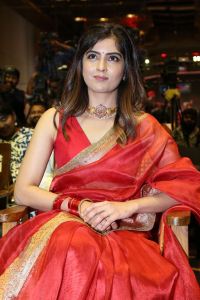 Actress Amritha Aiyer Saree Images @ Bachhala Malli Pre-Release