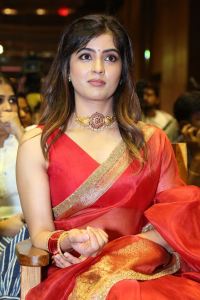 Actress Amritha Aiyer Images @ Bachhala Malli Pre-Release