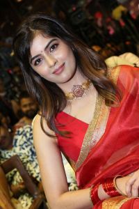 Bachhala Malli Movie Heroine Amritha Aiyer Saree Images