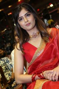 Bachhala Malli Movie Actress Amritha Aiyer Saree Images