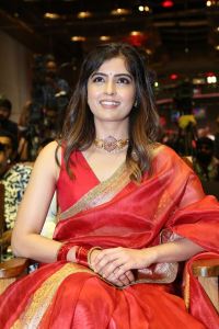 Bachhala Malli Movie Heroine Amritha Aiyer Saree Images