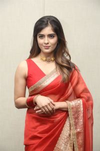 Amritha Aiyer Saree Images @ Bachhala Malli Pre-Release