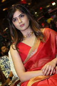 Bachhala Malli Movie Actress Amritha Aiyer Saree Images