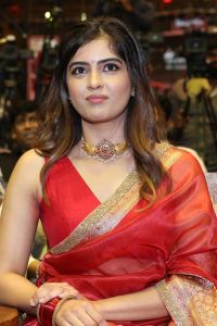 Actress Amritha Aiyer Saree Images @ Bachhala Malli Pre-Release