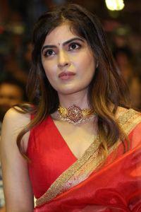 Amritha Aiyer Saree Images @ Bachhala Malli Pre-Release