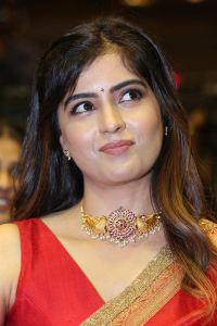 Bachhala Malli Movie Heroine Amritha Aiyer Saree Images