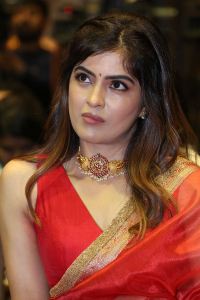 Actress Amritha Aiyer Images @ Bachhala Malli Pre-Release