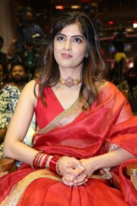 Bachhala Malli Movie Heroine Amritha Aiyer Saree Images