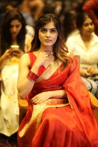 Amritha Aiyer Saree Images @ Bachhala Malli Pre-Release