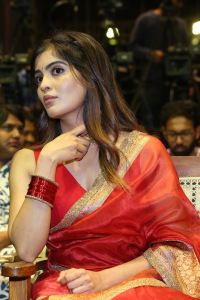 Amritha Aiyer Saree Images @ Bachhala Malli Pre-Release