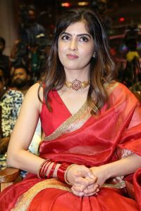 Amritha Aiyer Saree Images @ Bachhala Malli Pre-Release