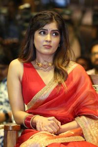 Bachhala Malli Movie Heroine Amritha Aiyer Saree Images