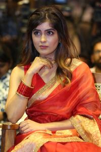 Amritha Aiyer Saree Images @ Bachhala Malli Pre-Release