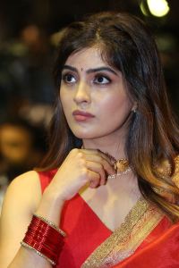 Actress Amritha Aiyer Saree Images @ Bachhala Malli Pre-Release