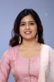 Actress Amritha Aiyer Latest Pics @ 30 Rojullo Preminchadam Ela Movie Press Meet