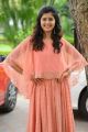 30 Rojullo Preminchadam Ela Movie Heroine Amritha Aiyer Stills