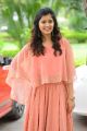 30 Rojullo Preminchadam Ela Movie Heroine Amritha Aiyer Stills