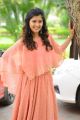 30 Rojullo Preminchadam Ela Movie Heroine Amritha Aiyer Stills