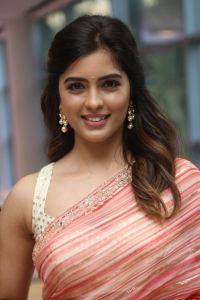 Amritha Aiyer Cute Saree Pics @ Bachhala Malli Trailer Launch