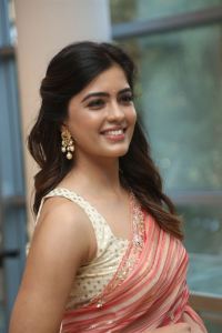 Bachhala Malli Actress Amritha Aiyer Saree Pics