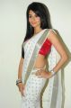Amrutha Hot in Saree Photo Shoot Stills
