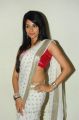 Telugu Actress Amrutha Hot in White Saree with Red Blouse